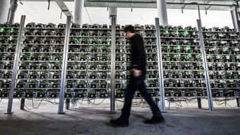 Expansive Bitcoin mining farm with rows of mining rigs