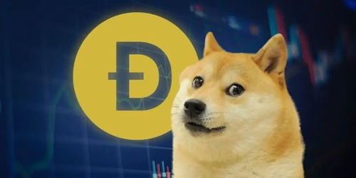 Dogecoin mining insights